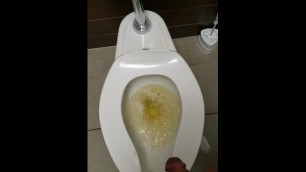 Public Restroom Pee